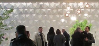 De Muurcomités van pvc de Materiële Waterdichte Buiten 3D Openluchtmuur het Behandelen Achtergrond van de Steenmuur